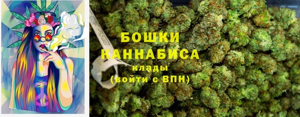 ГАЛЛЮЦИНОГЕННЫЕ ГРИБЫ Алзамай