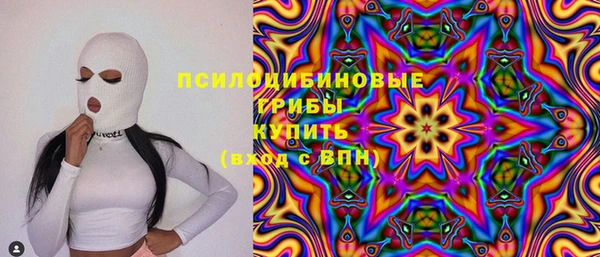ГАЛЛЮЦИНОГЕННЫЕ ГРИБЫ Алзамай