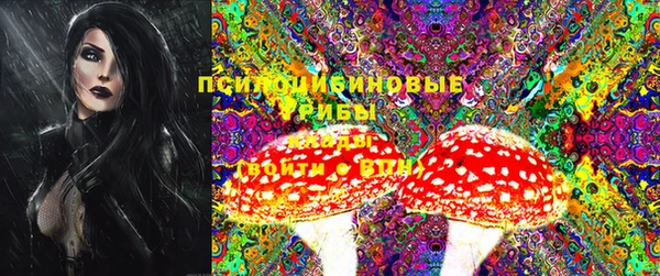 ГАЛЛЮЦИНОГЕННЫЕ ГРИБЫ Алзамай