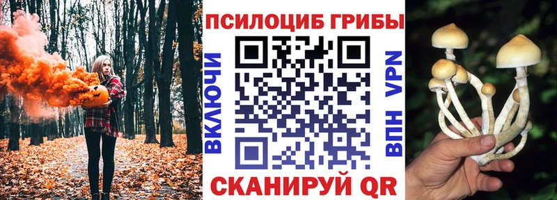 omg ТОР  Карпинск  Галлюциногенные грибы ЛСД  наркошоп 