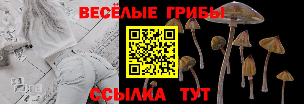 Псилоцибиновые грибы MAGIC MUSHROOMS  Вход с VPN  Карпинск 